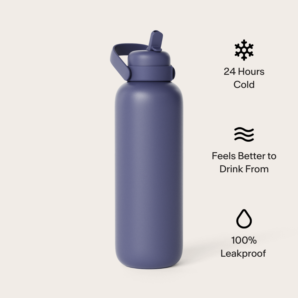 FrigidaieFilters Newt premium insulated water bottle
