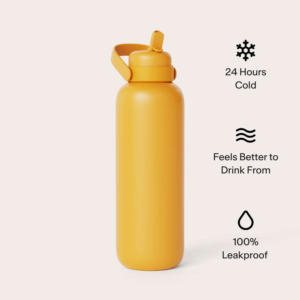 FrigidaieFilters Newt premium insulated water bottle