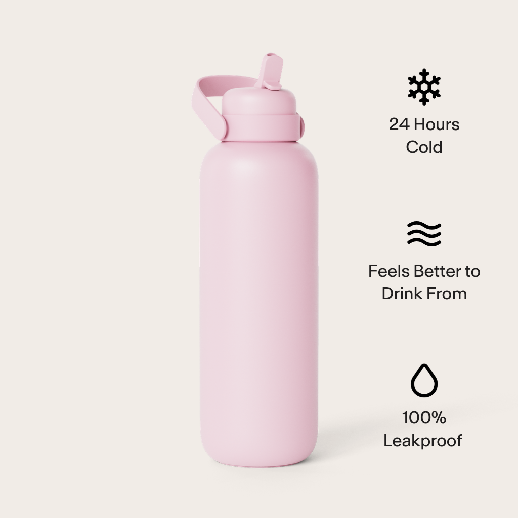 FrigidaieFilters Newt premium insulated water bottle