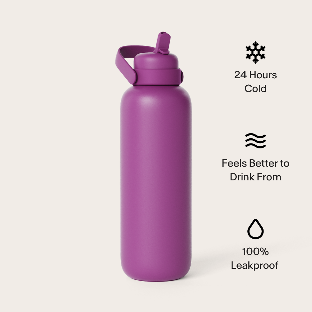 FrigidaieFilters Newt premium insulated water bottle